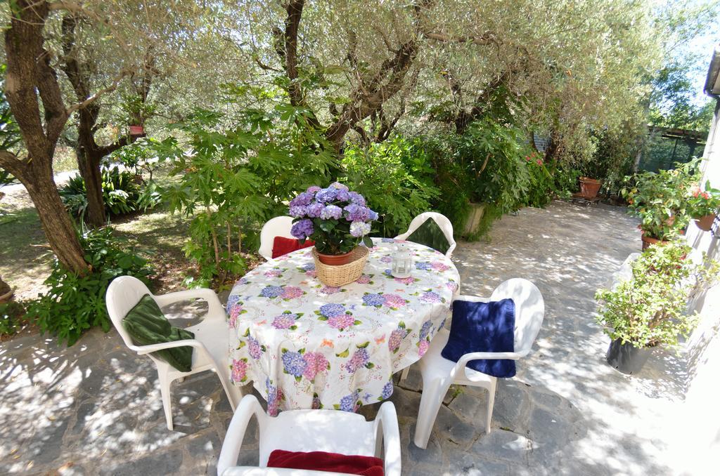 Casa Romana Viareggio Exteriér fotografie