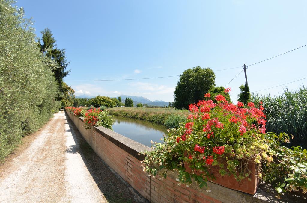 Casa Romana Viareggio Exteriér fotografie