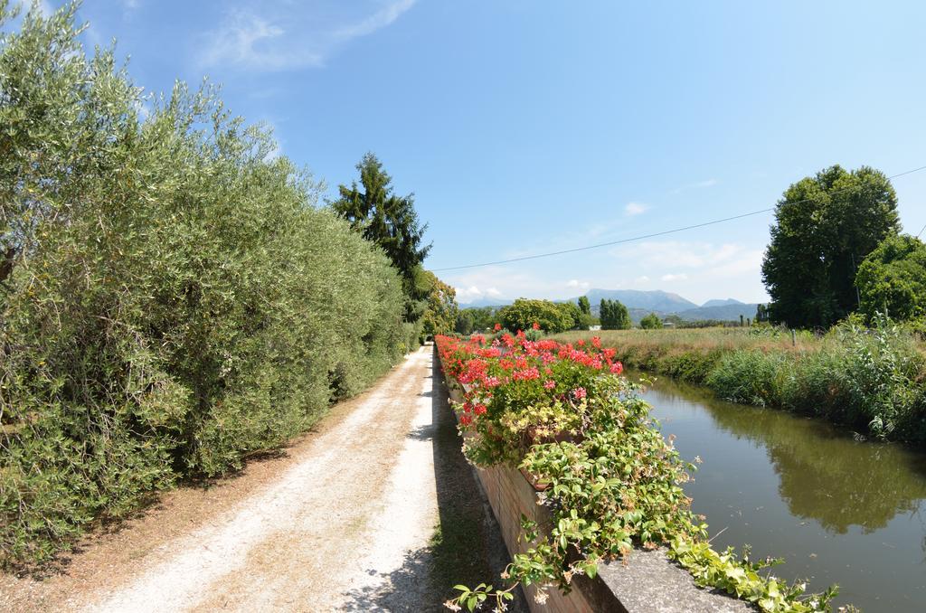 Casa Romana Viareggio Exteriér fotografie