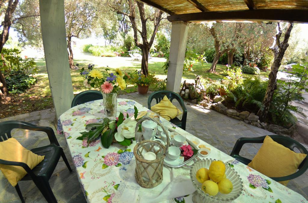 Casa Romana Viareggio Exteriér fotografie