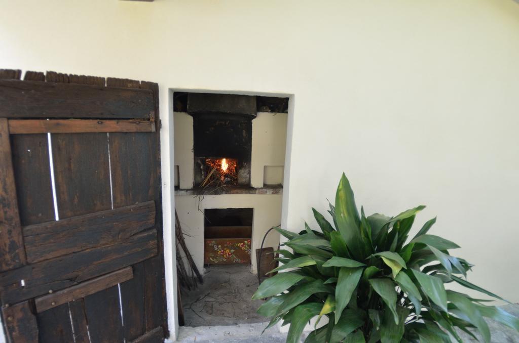 Casa Romana Viareggio Exteriér fotografie